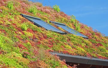 Lower Kilchattan living roof systems